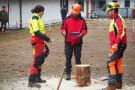drei Personen stehen an einem Holzstock