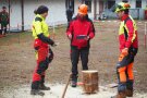 drei Personen stehen an einem Holzstock