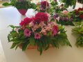Sommerliche Blumengestecke stehen auf einem TIsch