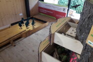 Ausstellung