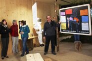 Ausstellung Bienen