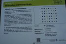 Schild über die Eigenschaften der Stieleiche im Wiederbewaldungsparcours
