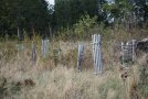 Verschiedene Wuchshüllen aus Holz auf einer Versuchsfläche