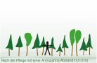 Grafik: Derselbe Waldbestand nach Pflegeeingriff