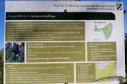 Infotafel zur Jungwuchspflege