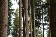 Mit einer Teleskopstange wird zur sicheren Fällung ein Seil um eine stehende Fichte gelegt