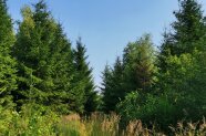 Pflegepfade