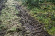 Tiefe Reifenspuren auf einer Rückegasse im Wald