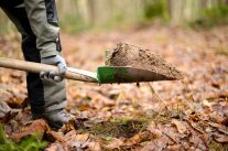 Hohlspaten mit Erdpfropf im Wald