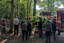 Eine Gruppe Menschen und mehrere Feuerwehrleute bei einer Sicherheitsschulung im Wald