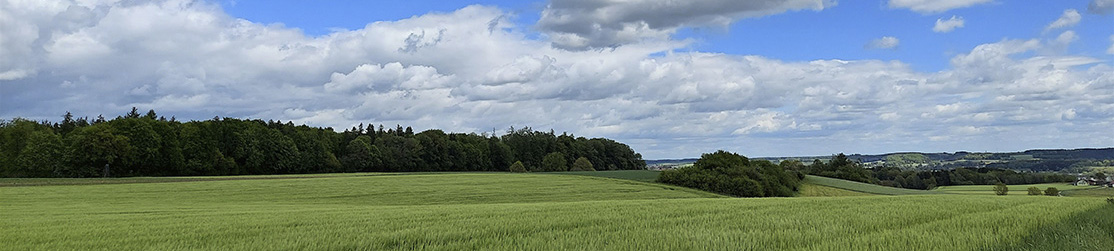 Panoramabild Wälder, Wiesen, Felder