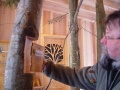 Mann zeigt auf einen ausgestellten Baum im WEZ