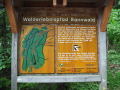 Übersichtskarte Walderlebenispfad Bannwald
